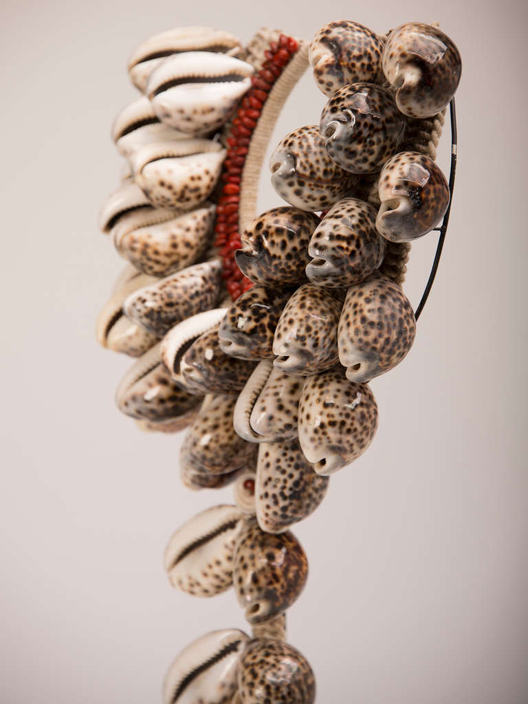 Grand Scale African, Cowrie Shell Necklace Mounted on a Custom Stand 1