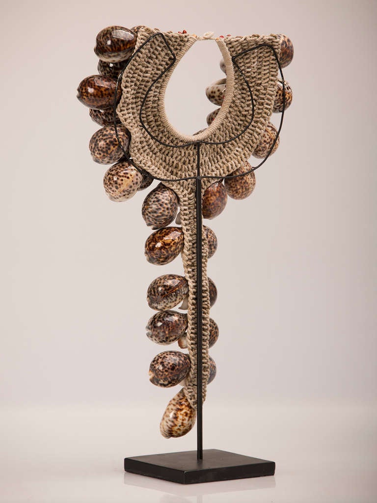 Grand Scale African, Cowrie Shell Necklace Mounted on a Custom Stand 2
