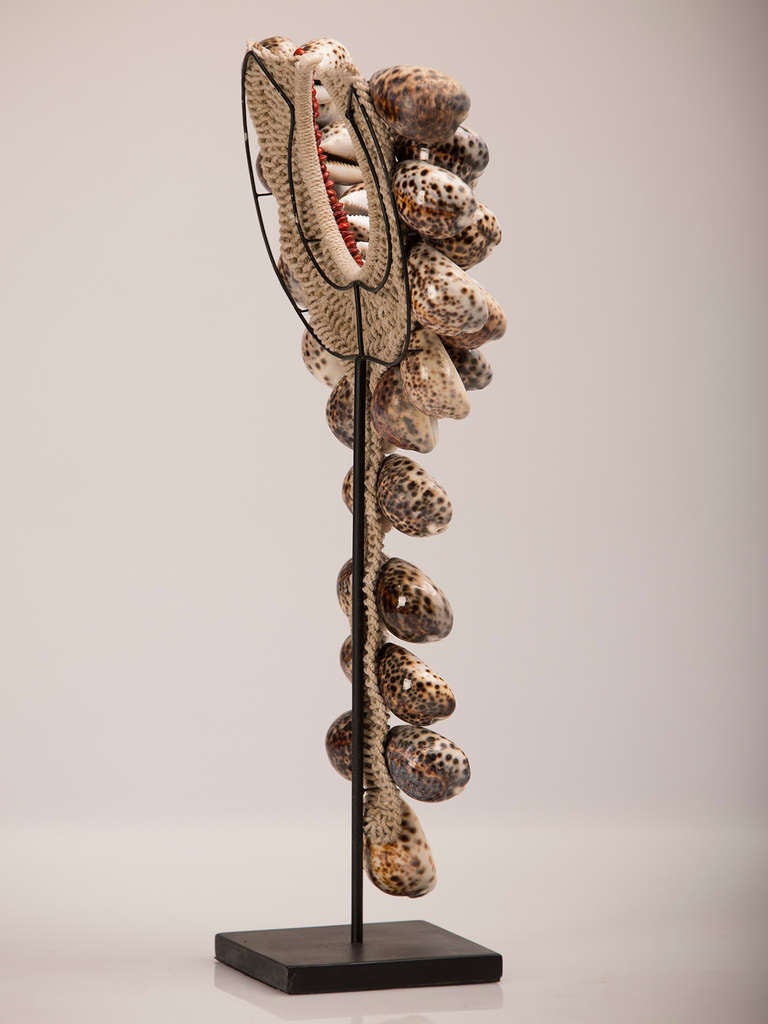Grand Scale African, Cowrie Shell Necklace Mounted on a Custom Stand 3