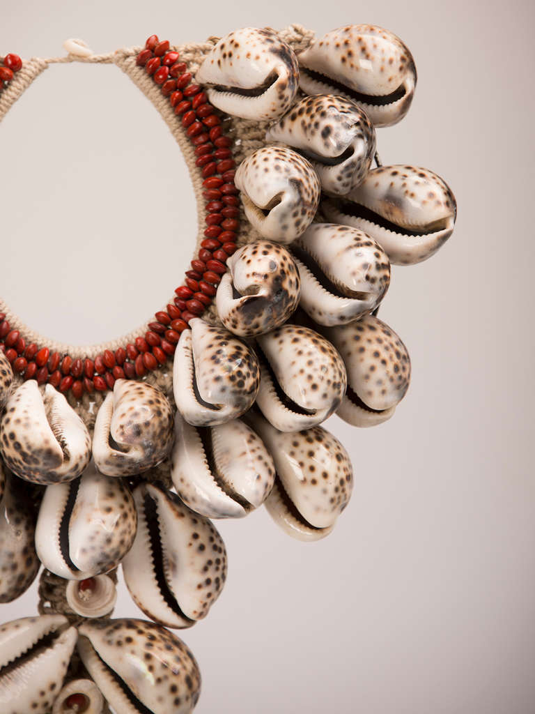South African Grand Scale African, Cowrie Shell Necklace Mounted on a Custom Stand