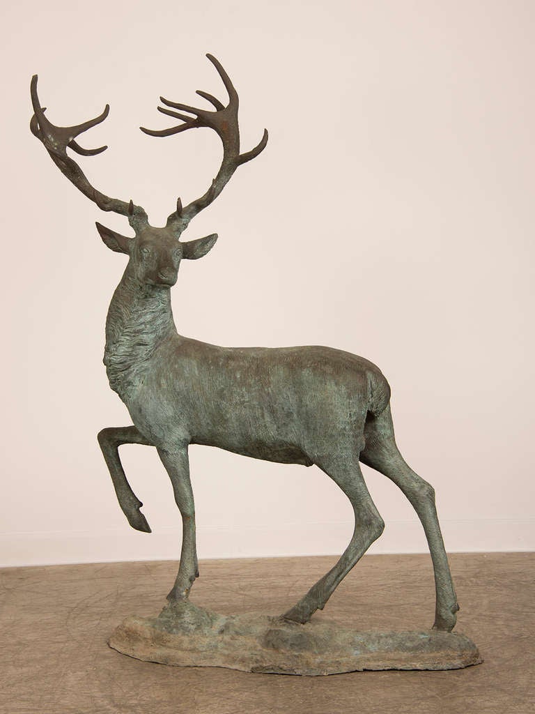Receive our new selections direct from 1stdibs by email each week. Please click “Follow Dealer” button below and see them first!

An extraordinary near life size Vintage bronzed metal sculpture of a stag in mid turn found in France circ 1950. The