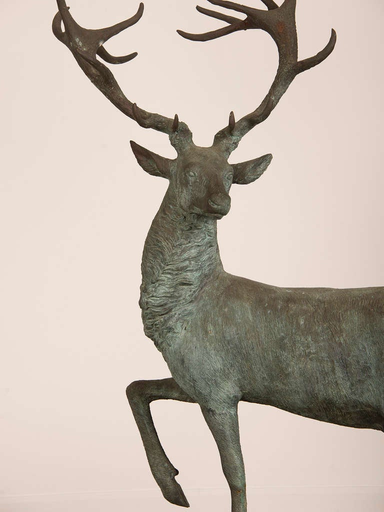 metal stag statue
