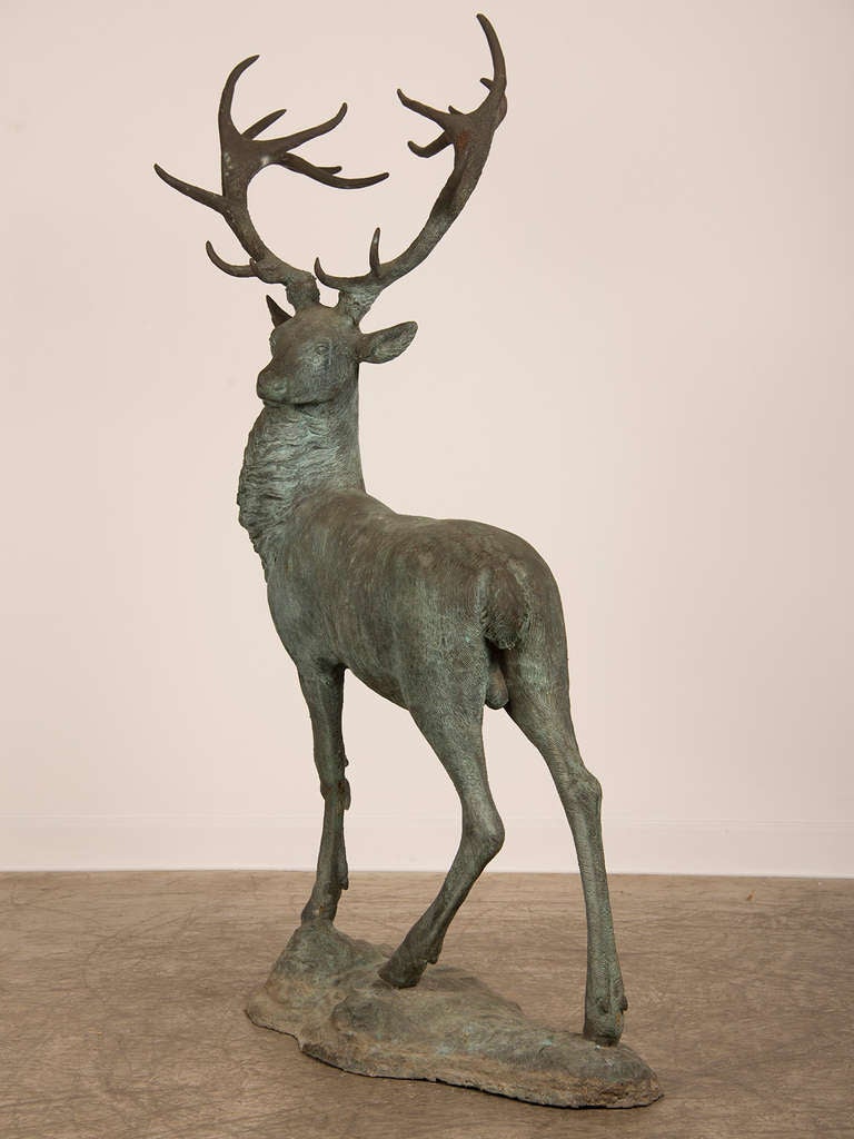 French Near Life-Size Vintage Bronzed Metal Sculpture of a Stag found in France, 1950