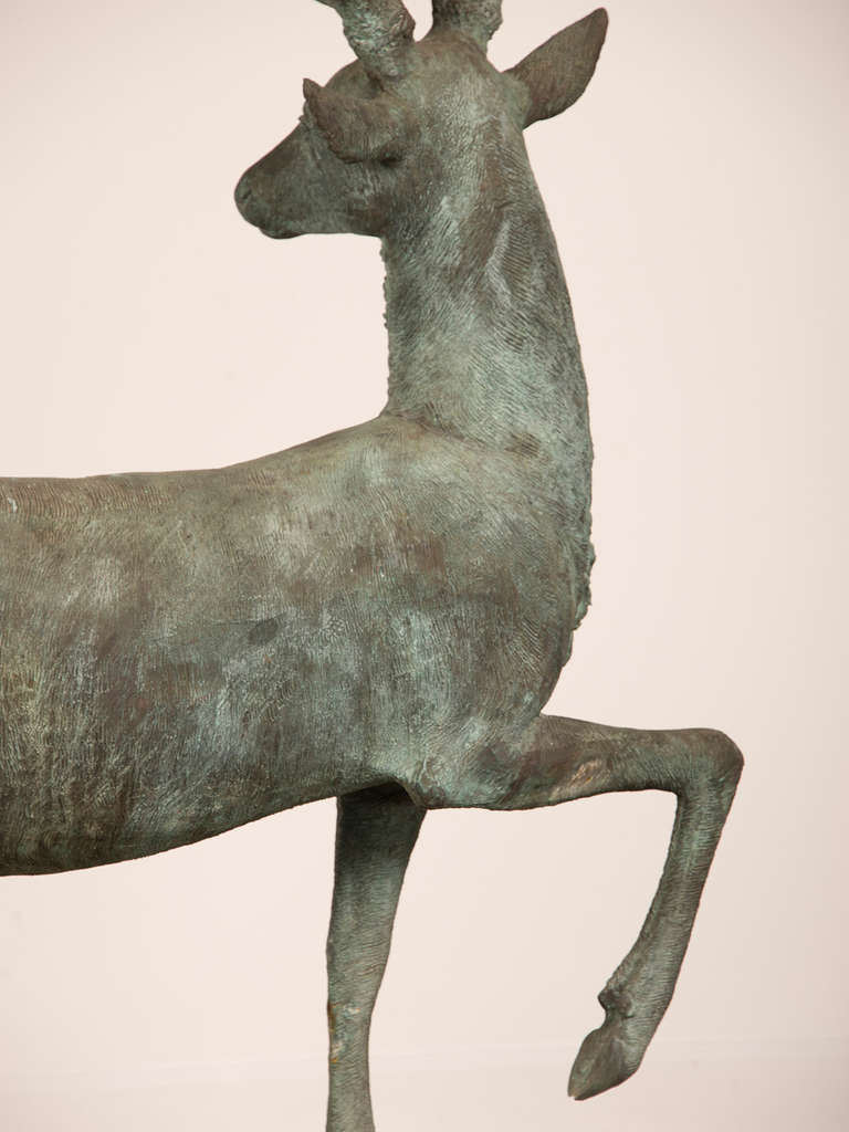 20th Century Near Life-Size Vintage Bronzed Metal Sculpture of a Stag found in France, 1950