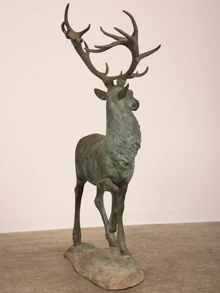 Near Life-Size Vintage Bronzed Metal Sculpture of a Stag found in France, 1950 1