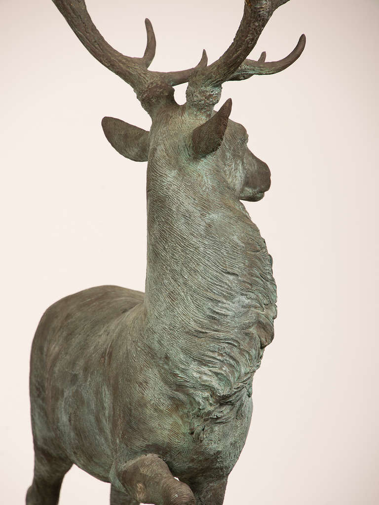 Near Life-Size Vintage Bronzed Metal Sculpture of a Stag found in France, 1950 2