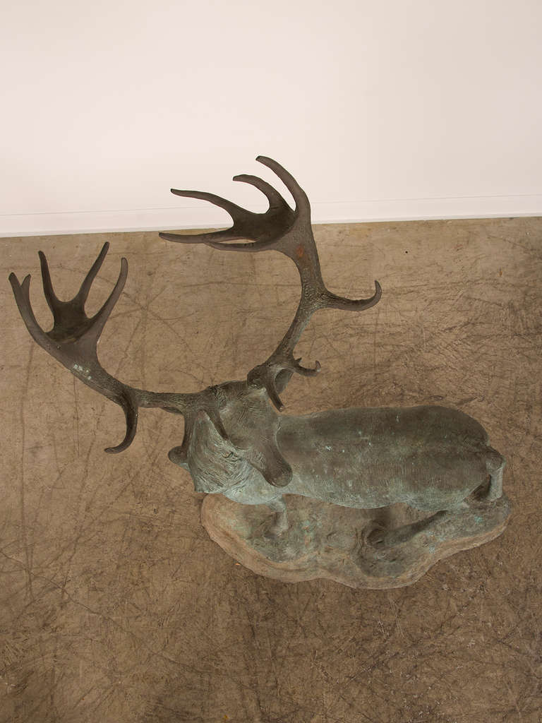 Near Life-Size Vintage Bronzed Metal Sculpture of a Stag found in France, 1950 3