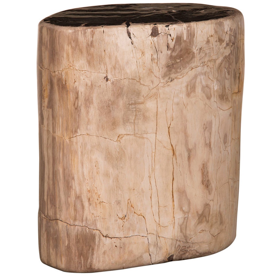 Petrified Wood Tree Trunk Side Table from Indonesia