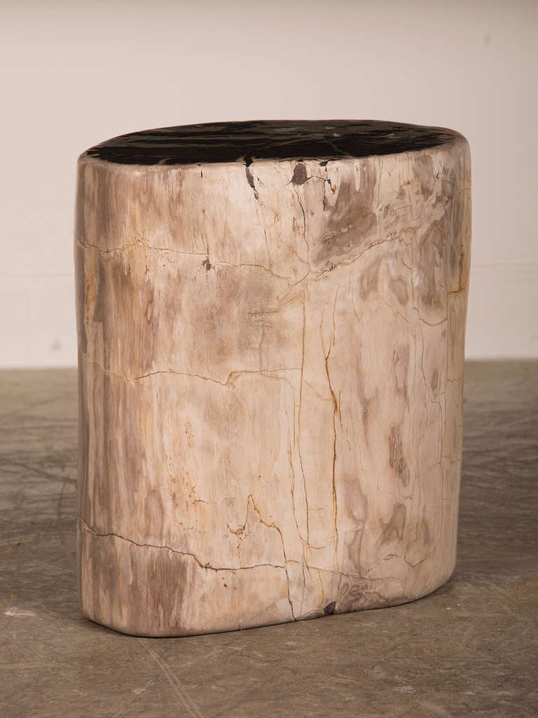 Petrified Wood Trunk Side Table from Indonesia. The process of petrification occurs when vegetation is immersed in an oxygen free environment (primarily when submerged underwater) and over time the organic material slowly crystallizes as mineral