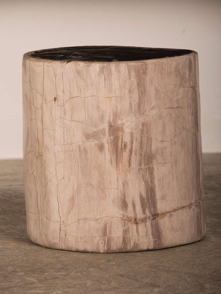 Petrified Wood Tree Trunk Side Table from Indonesia In Excellent Condition In Houston, TX