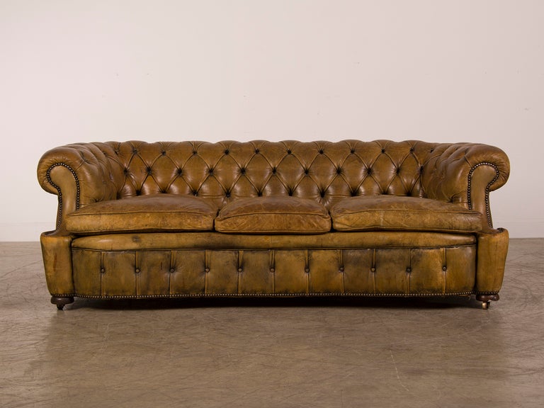An exceptional leather Chesterfield sofa with a serpentine shape and three cushions from England c.1920. The curvaceous movement of the front line of this sofa is extremely rare and gives it the most sensuous appearance we have ever seen. The