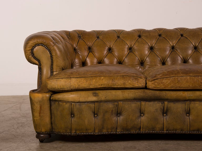 20th Century A Chesterfield sofa with a serpentine shape from England c.1920