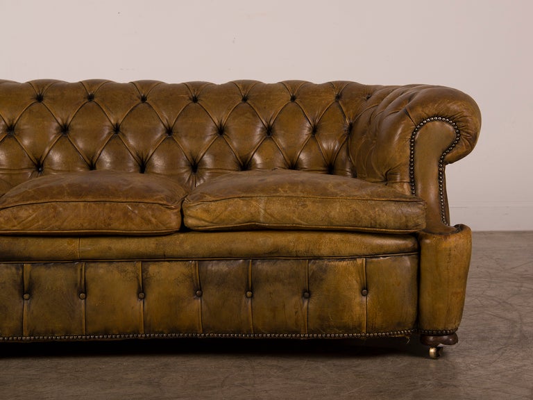 Leather A Chesterfield sofa with a serpentine shape from England c.1920