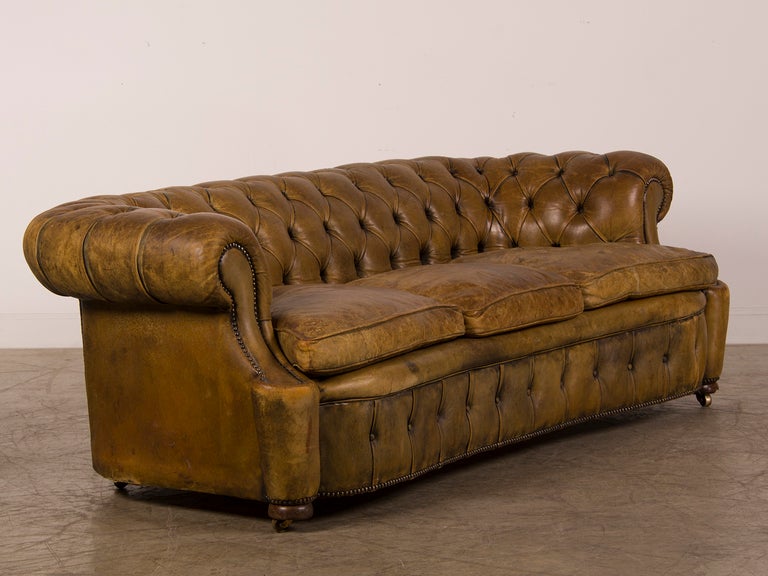 A Chesterfield sofa with a serpentine shape from England c.1920 1