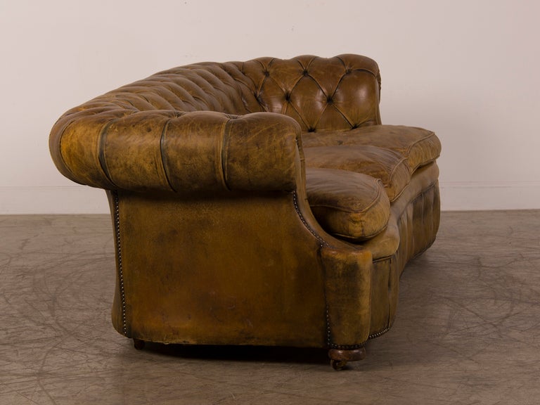 A Chesterfield sofa with a serpentine shape from England c.1920 2
