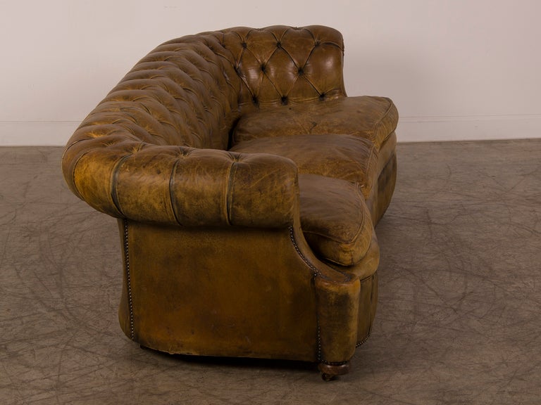 A Chesterfield sofa with a serpentine shape from England c.1920 3
