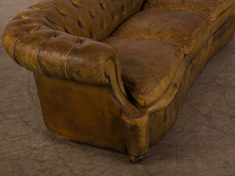 A Chesterfield sofa with a serpentine shape from England c.1920 4