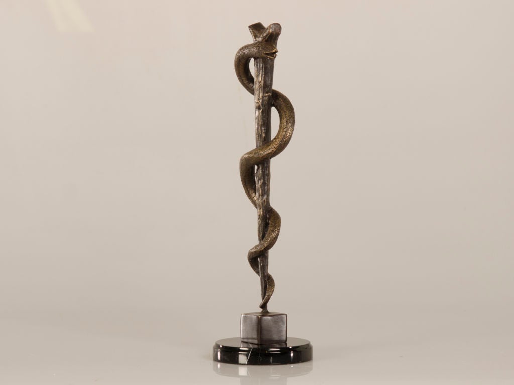 bronze snake on a pole