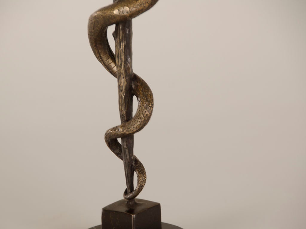 bronze snake on pole