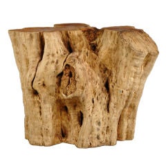 A marvelous specimen of a tree trunk made into a side table