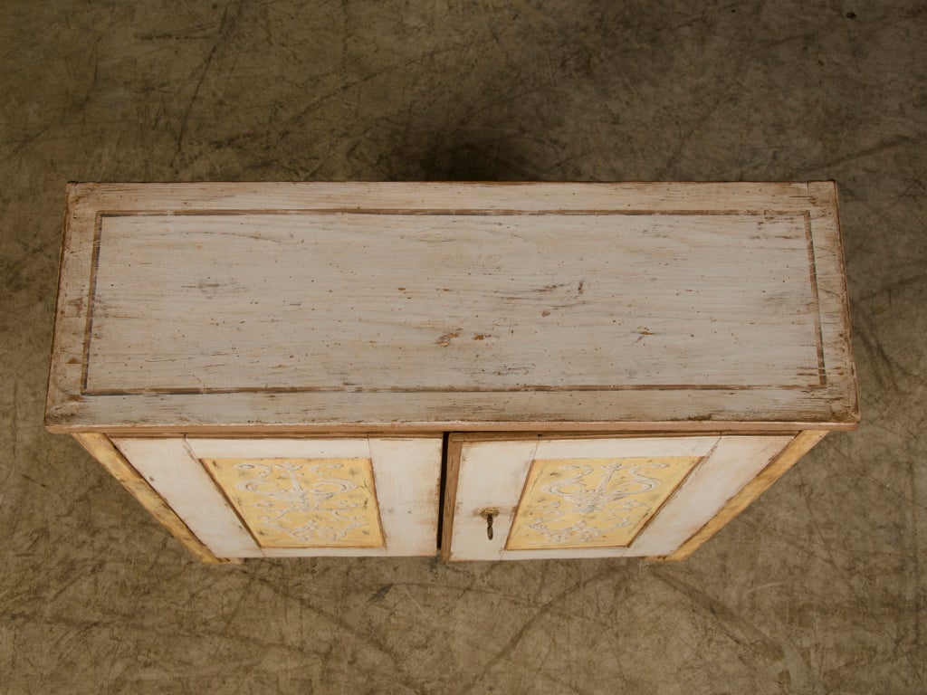 shallow cabinet with doors