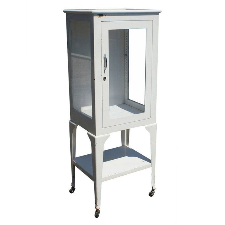 Restored Vintage Metal Medical Display at 1stDibs antique