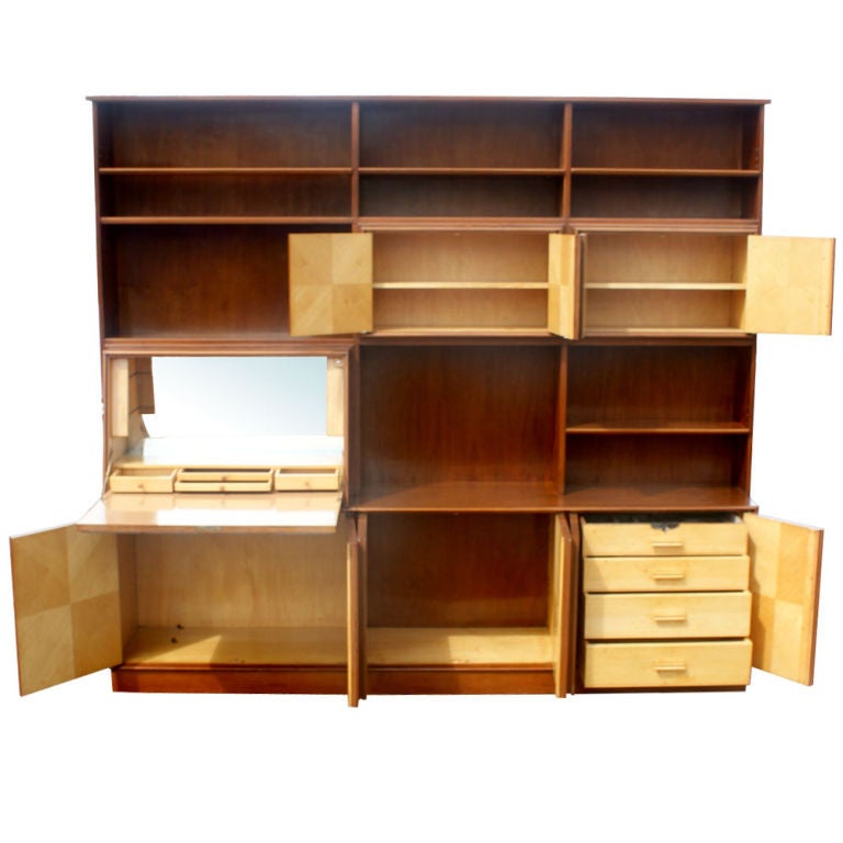 Exotic Burled Multi Purpose Wall Unit In Good Condition For Sale In Pasadena, TX