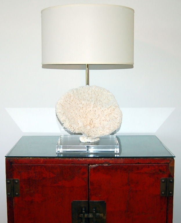 20th Century Coral Table Lamp by Swank Lighting For Sale