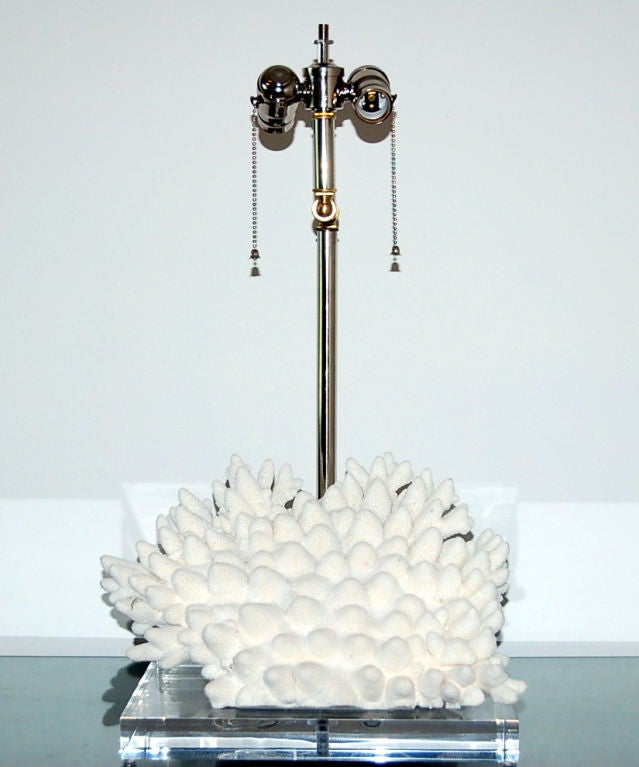 Coral Table Lamp