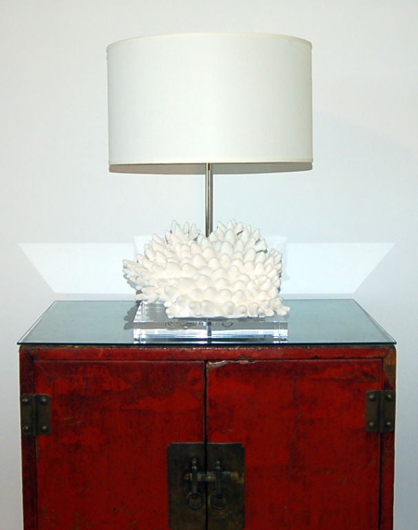 Coral Table Lamp For Sale at 1stDibs