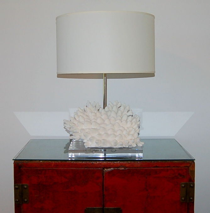Coral Table Lamp For Sale at 1stDibs