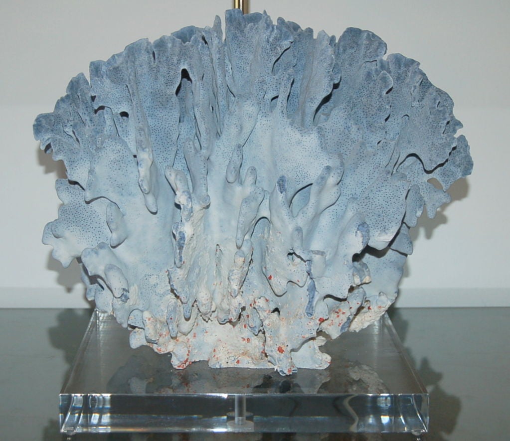 20th Century Velvety Egyptian Blue Suede Coral Lamp
