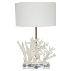 Natural Stag Horn Coral Mounted Table Lamp