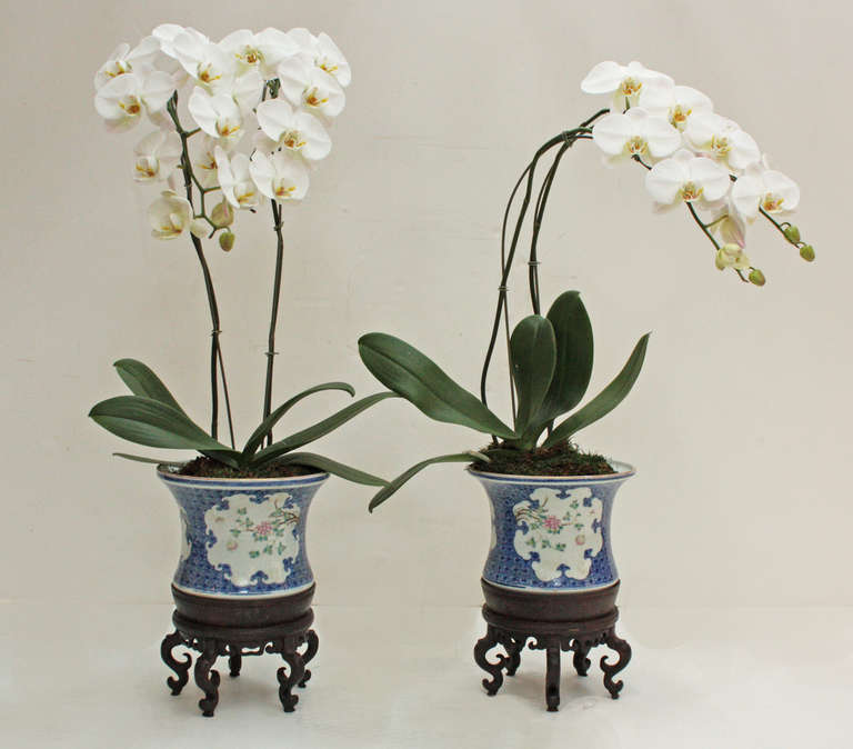 Pair of Chinese Porcelain Jardineres on Custom Stands In Good Condition In Dallas, TX