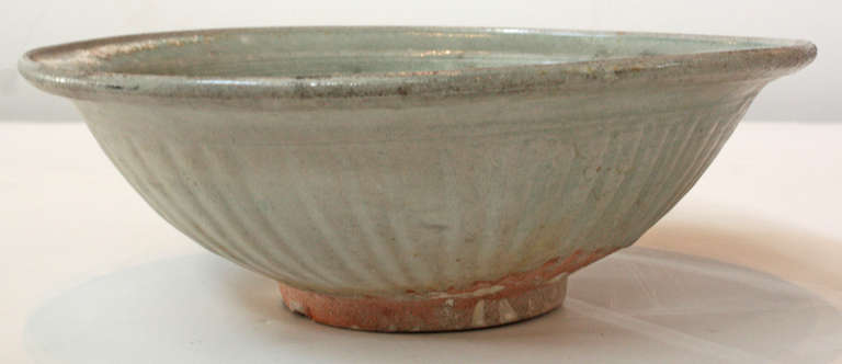 Chinese Export Dish Recovered from the Wreck of the Tek Sing