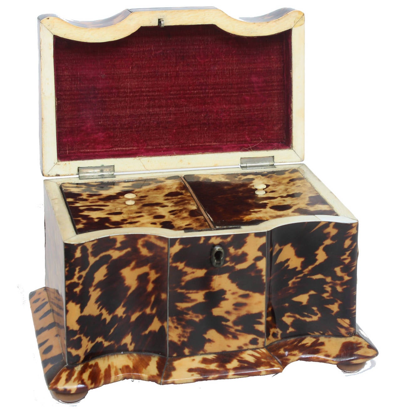English Regency tortoiseshell tea caddy with serpentine and block front, bun feet.