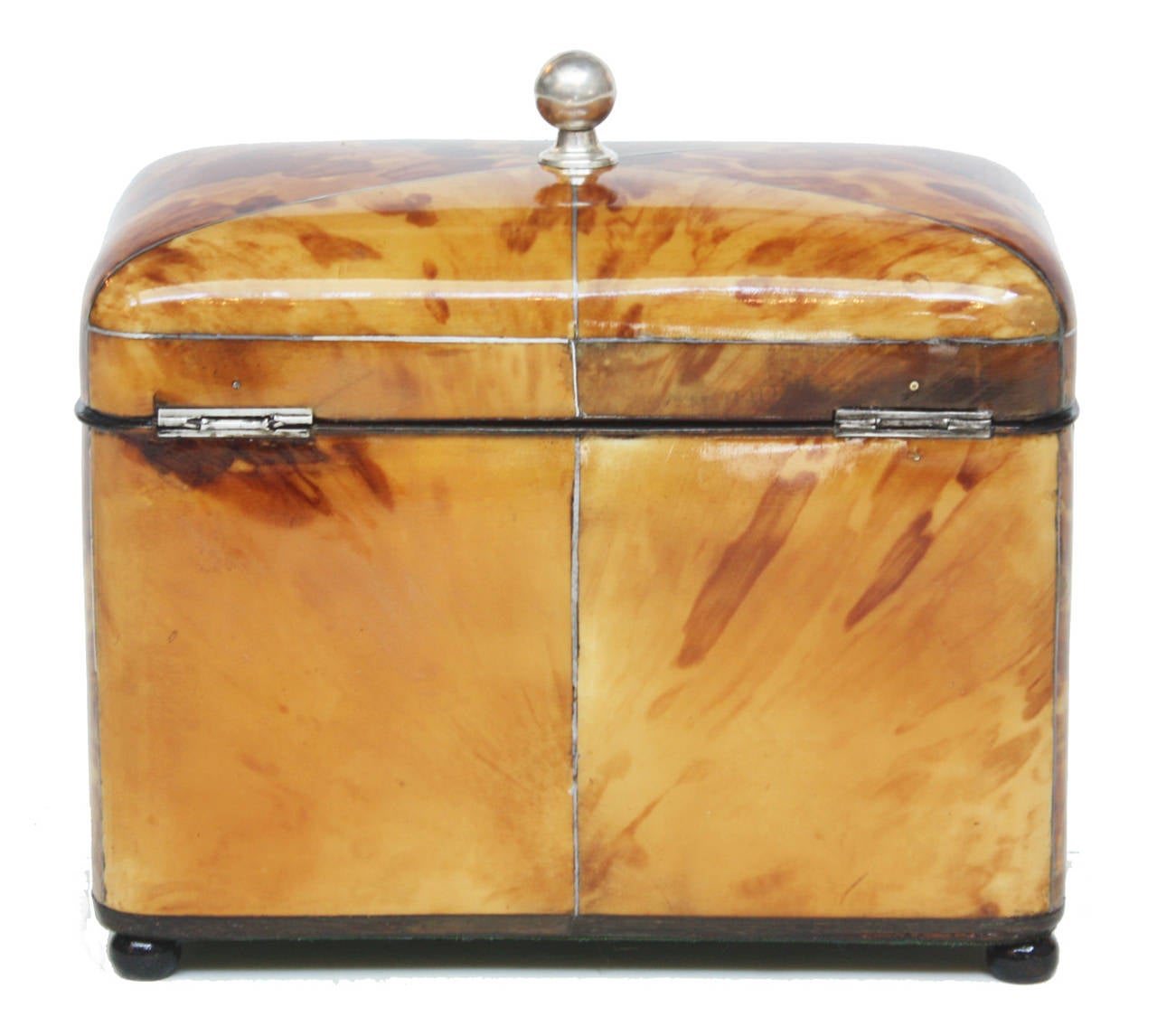 19th Century English Regency Tortoiseshell Tea Caddy