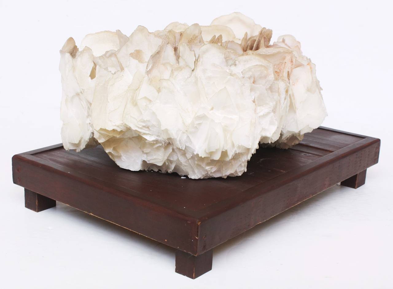 Large Mineral Specimen of  Blade Selenite with Wooden Stand