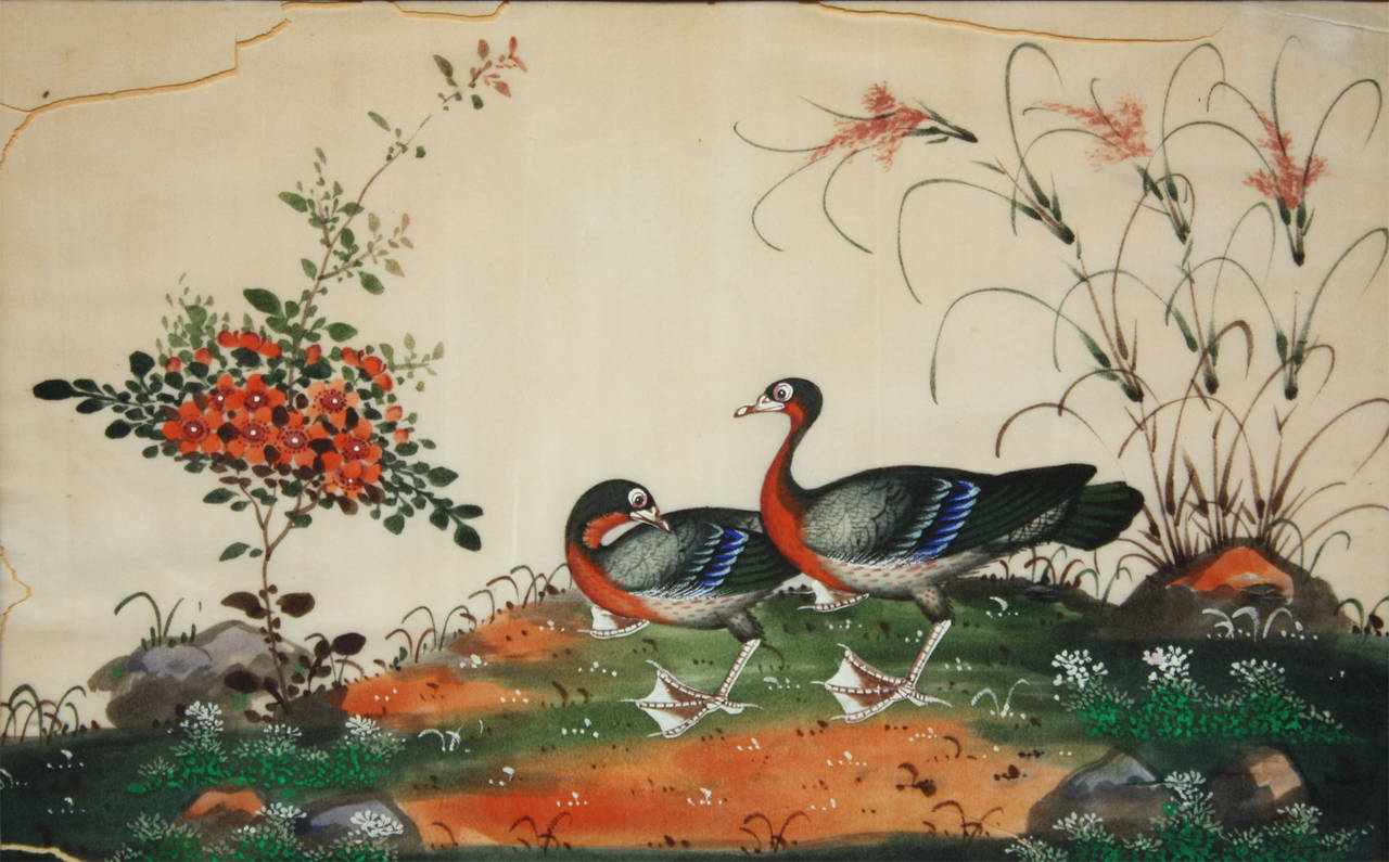 Late 18th/early 19th century Chinese painting on silk of two ducks framed under glass.