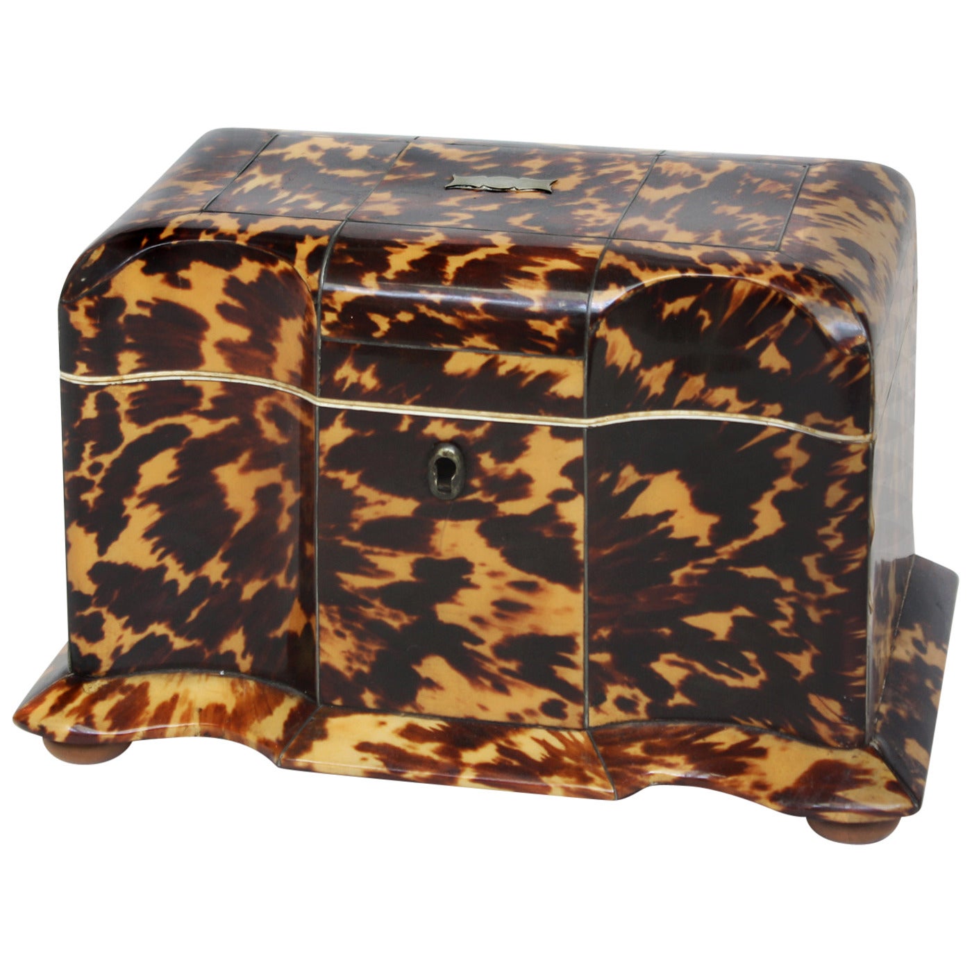 English Regency Leopard Tortoiseshell Tea Caddy
