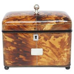 English Regency Tortoiseshell Tea Caddy