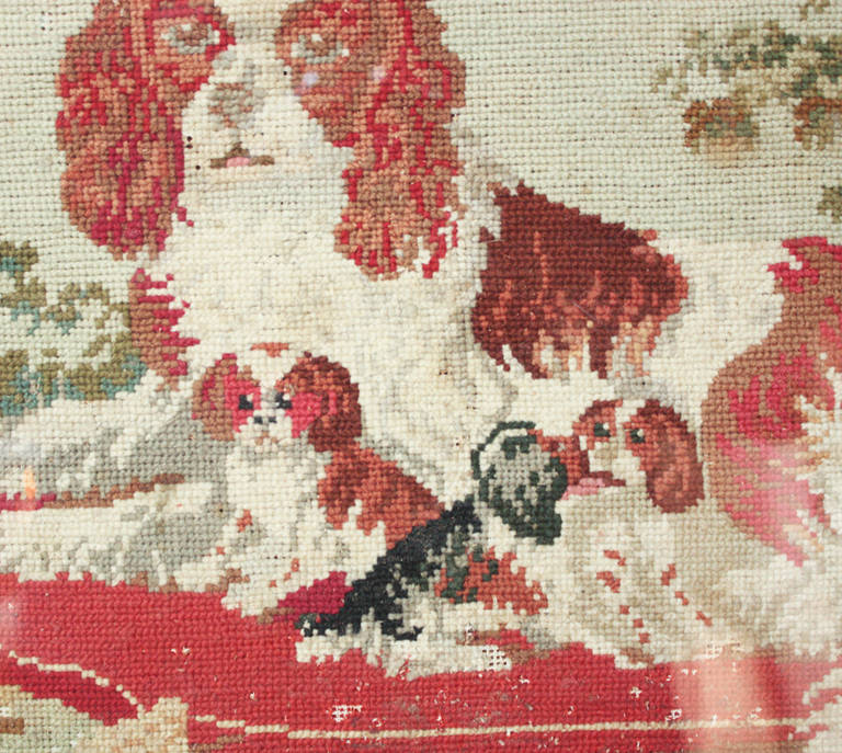 a needlework scene of a Cavalier King Charles spaniel with pups in a frame of bird's eye maple

Due to the age of this piece, there are some missing stitches. 
(see Images 2 and 3)