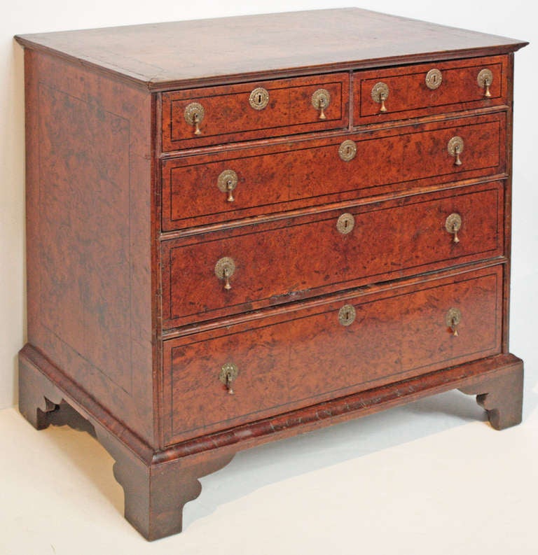 a George III five drawer burled walnut chest having three large drawers below two smaller drawers, ebony stringing decorates the chest allowing for a bricked feel, bracket feet