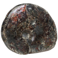 Exceptionally Fine Iridescent Ammonite Fossil
