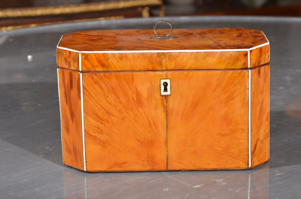 Tortoise Shell Tea Caddy