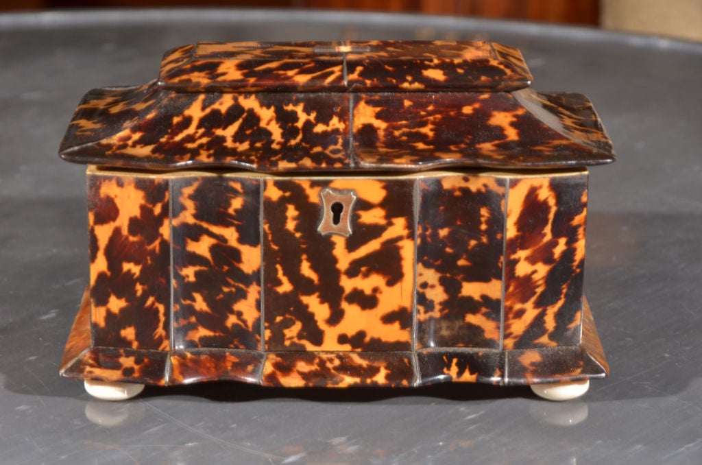 a tea caddy with block front made of tortoise shell with silver trim, ivory feet and knobs

blonde tortoise sides and back, darker front and top