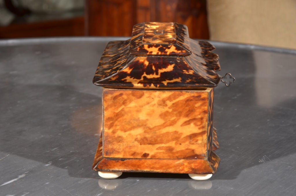 George III Tortoise Shell Tea Caddy In Good Condition In Dallas, TX