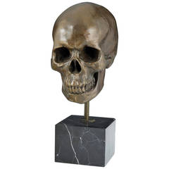 Large Well-Observed Patinated Bronze Skull