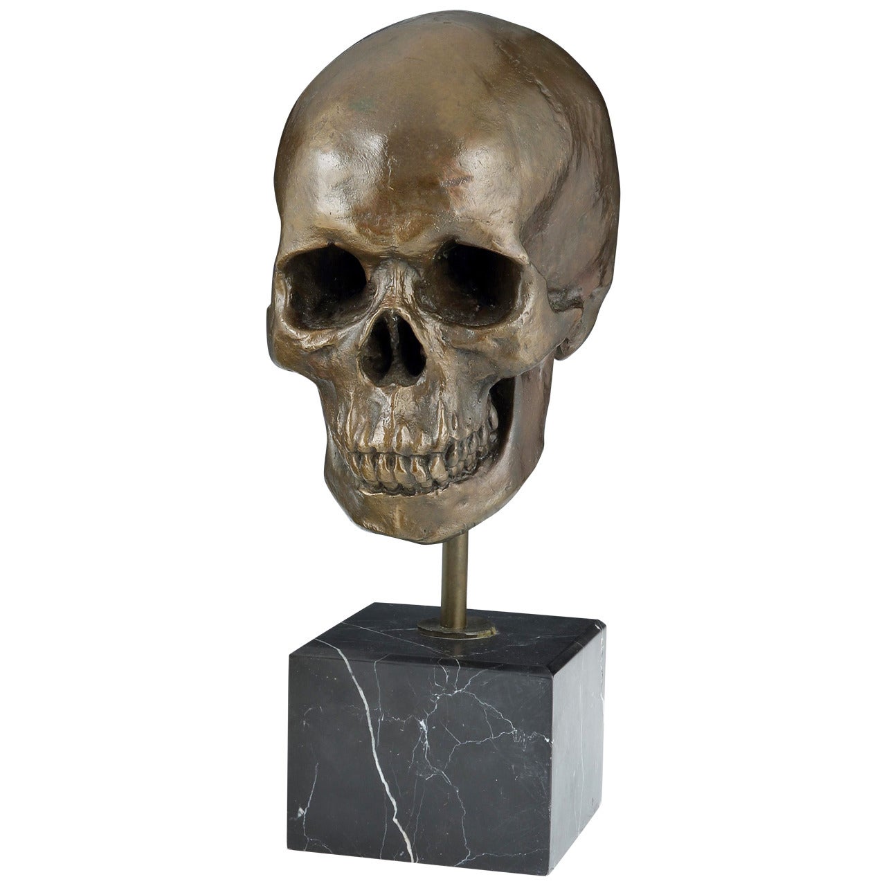 Large Well-Observed Patinated Bronze Skull