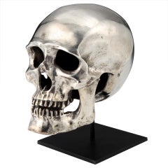 Silvered Bronze Skull, c. 1950